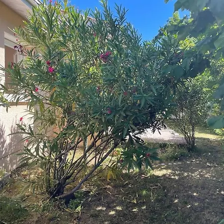 Maison Dans Un Environnement Vert Et Tres Calme *